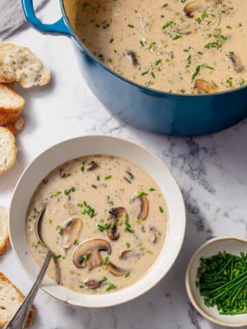 Creamy Mushroom Soup Recipe