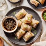 Air Fryer Salmon Rice Paper Wraps Recipe